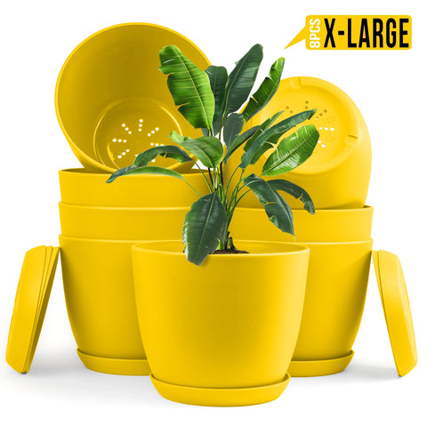 Enhance Your Space with Fast Forward Extra Large Plant Pots – Perfect Home Decor for Indoor and Outdoor Planters with Drainage - Explore Multi-Packs of Plastic Planters for Cactus and Succulents in Six Vibrant Colors