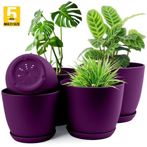 Plant Pots Indoor with Drainage - Pack of 5 Decorative Flower Pots for Indoor Plants without plants Fast Forward