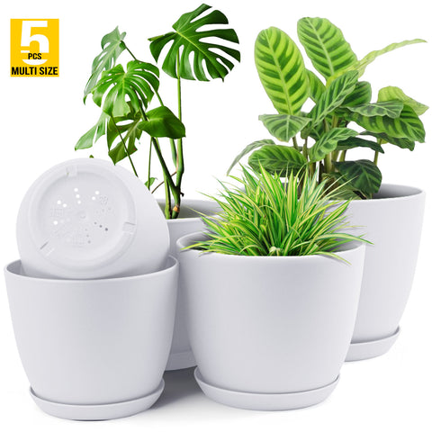 Plant Pots Indoor with Drainage - Pack of 5 Decorative Flower Pots for Indoor Plants Fast Forward