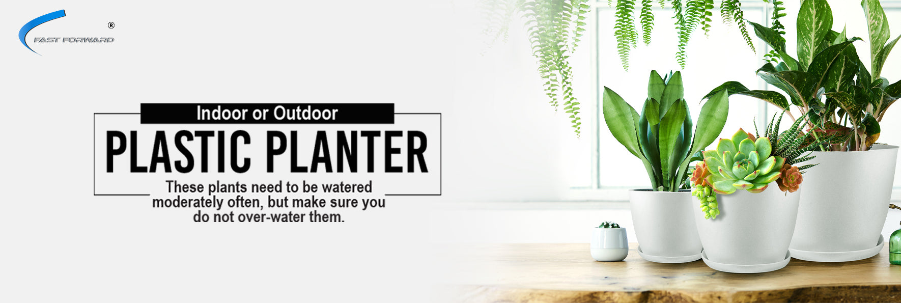 Plants in white planters with text about indoor or outdoor use and watering.