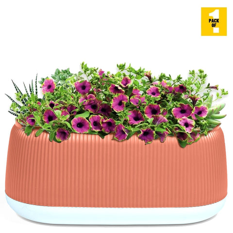 Rectangular Flower Pot - Stylish Ribbed Design with Drainage Hole, Rubber Plug, Water Collection Tray Fast Forward