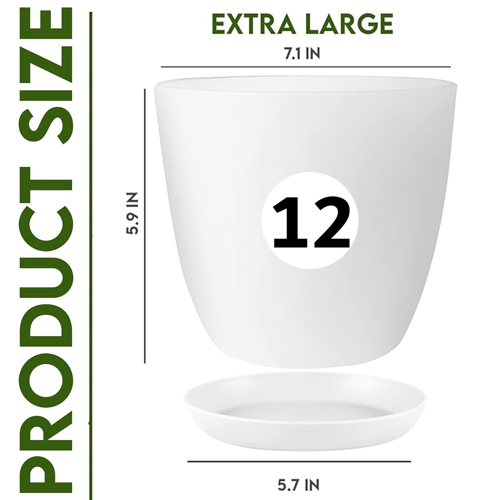 Enhance Your Space with Fast Forward Extra Large Plant Pots – Perfect Home Decor for Indoor and Outdoor Planters with Drainage - Explore Multi-Packs of Plastic Planters for Cactus and Succulents in Six Vibrant Colors Fast Forward