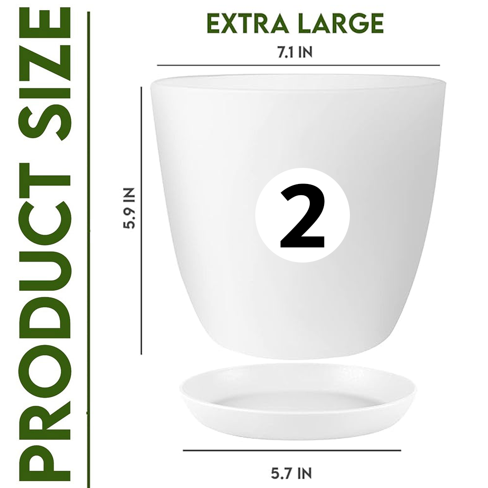 Fast Forward Extra Large Plant Pots with Drainage: Stylish Home Decor Flower Pots in Two Vibrant Colors - Ideal for Indoor Planters, Multi-Packs for Plastic Planters, Cactus, and Succulents Fast Forward