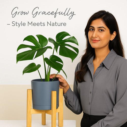 Cylinder Planter with Wooden Stand - without plants Fast Forward