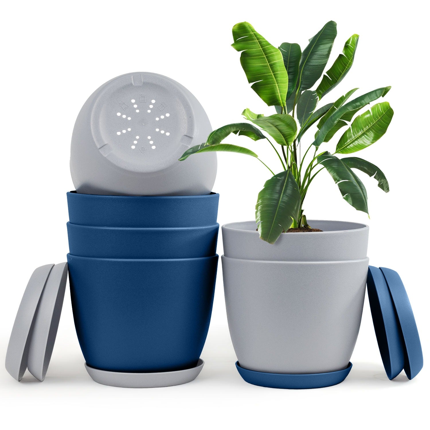 Revitalize Your Space with Fast Forward Extra Large Plant Pots: Two Vibrant Colors, Drainage, Ideal for Indoor Planters - Explore Multi-Packs for Plastic Planters