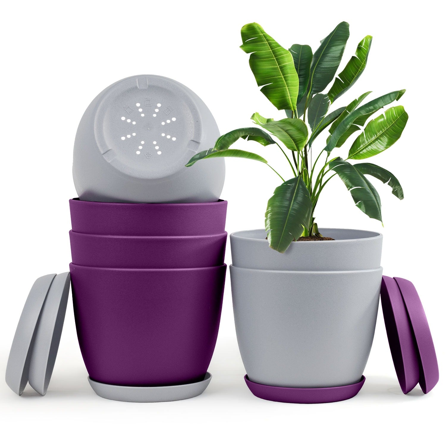 Revitalize Your Space with Fast Forward Extra Large Plant Pots: Two Vibrant Colors, Drainage, Ideal for Indoor Planters - Explore Multi-Packs for Plastic Planters