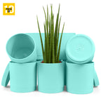 6-Inch Plastic Planter Pots – Cylindrical Stylish, Durable & Plant-Friendly with Drainage & Seamless Saucers