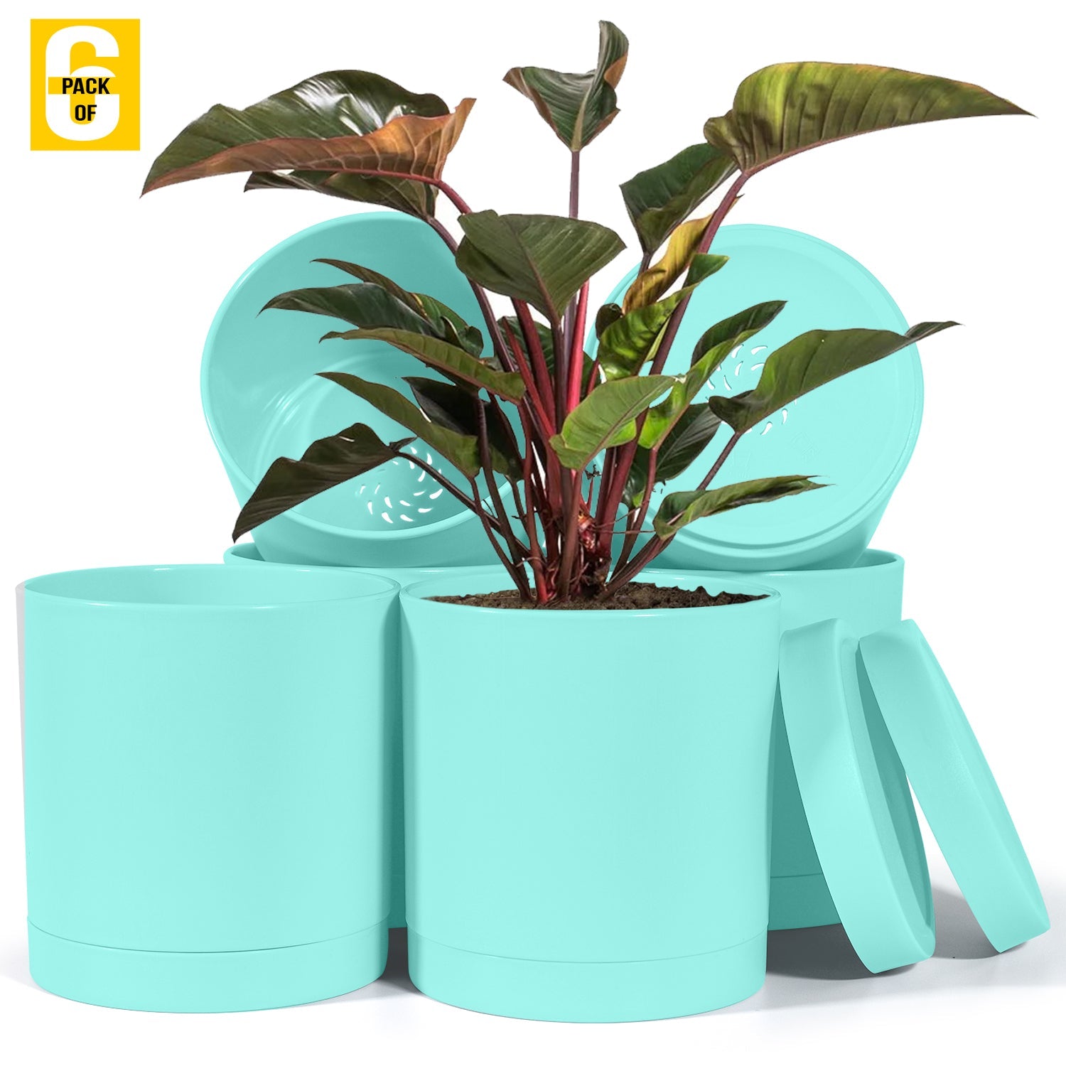 6-Inch Plastic Planter Pots – Cylindrical Stylish, Durable & Plant-Friendly with Drainage & Seamless Saucers