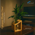 Hydroponic Plant Cultivation Station with Pure Wooden Stand & Transparent 6-Inch Acrylic Vase for Indoor Plants, Home & Office Decor