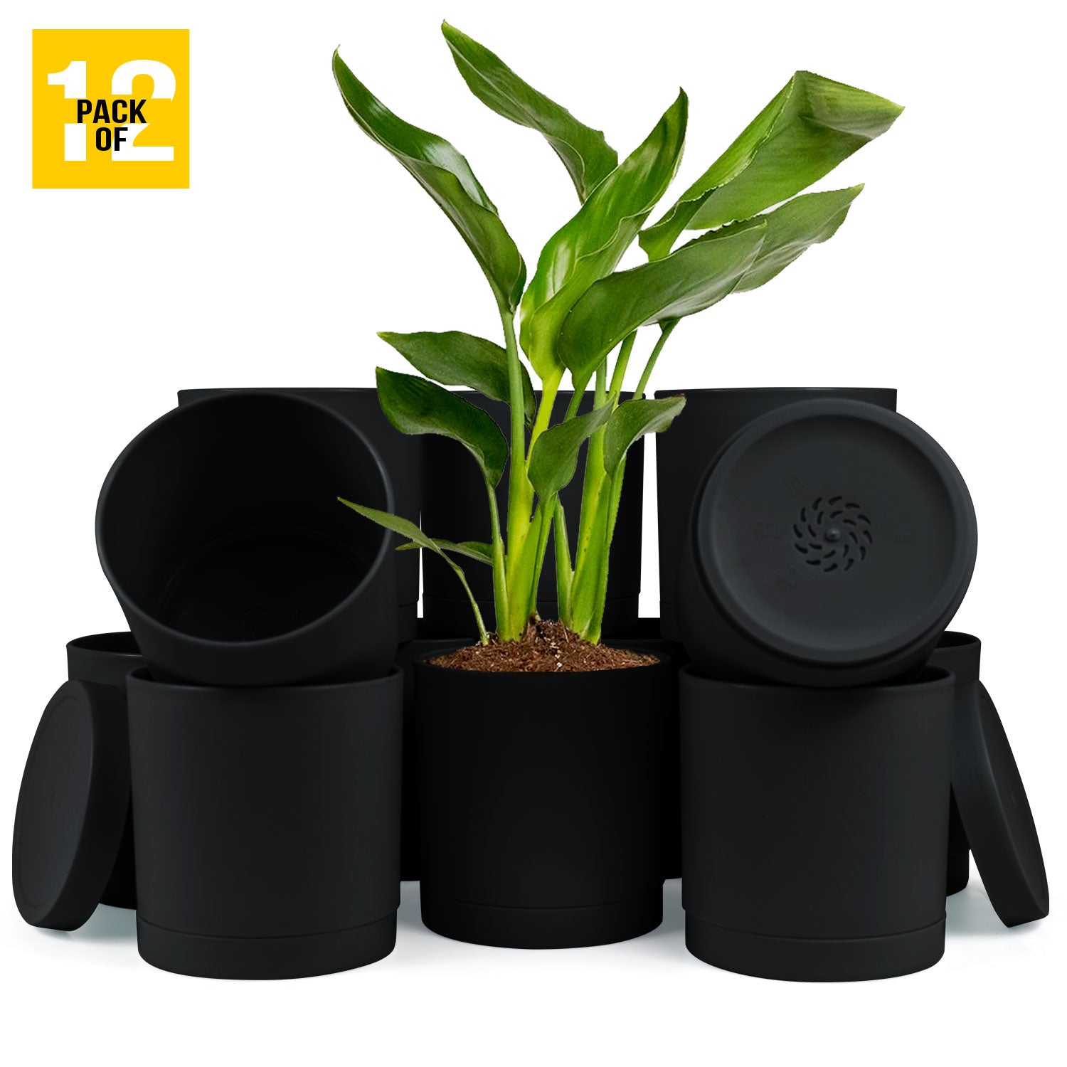 6-Inch Plastic Planter Pots – Cylindrical Stylish, Durable & Plant-Friendly with Drainage & Seamless Saucers