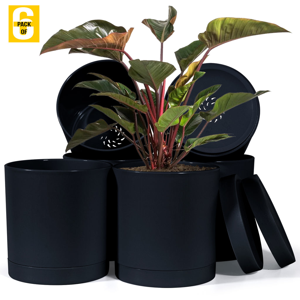 6-Inch Plastic Planter Pots – Cylindrical Stylish, Durable & Plant-Friendly with Drainage & Seamless Saucers