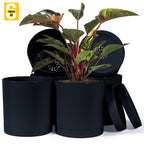 6-Inch Plastic Planter Pots – Cylindrical Stylish, Durable & Plant-Friendly with Drainage & Seamless Saucers
