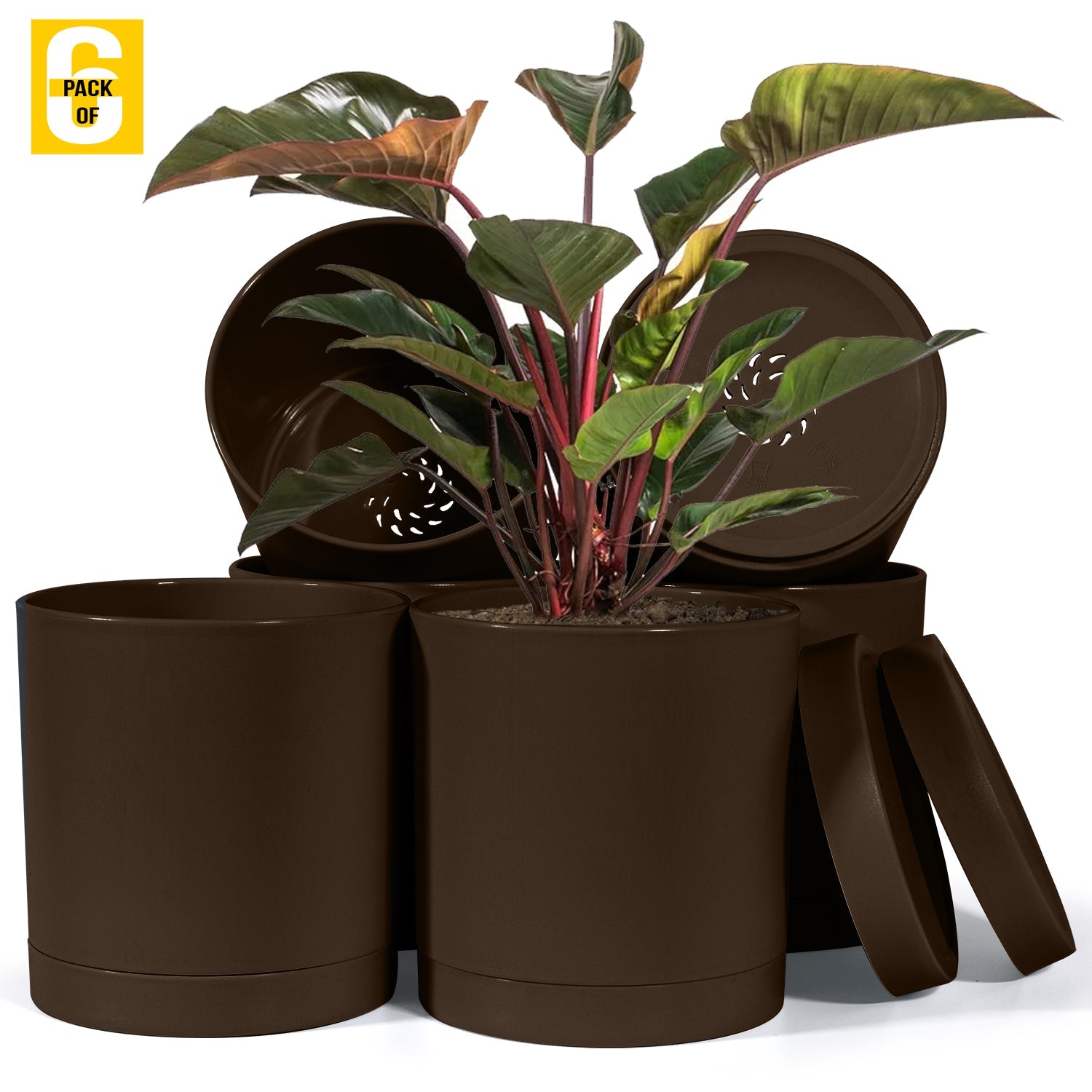 6-Inch Plastic Planter Pots – Cylindrical Stylish, Durable & Plant-Friendly with Drainage & Seamless Saucers
