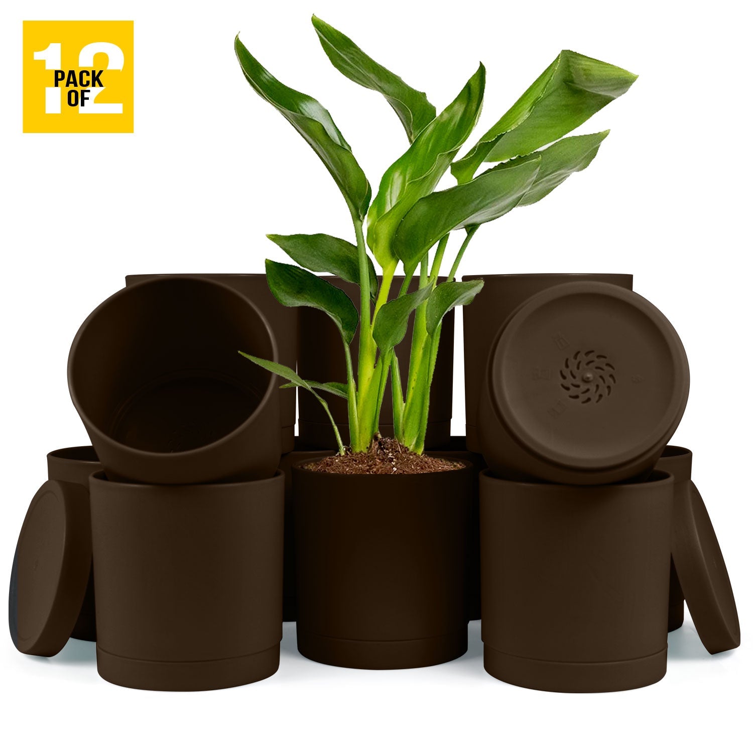 6-Inch Plastic Planter Pots – Cylindrical Stylish, Durable & Plant-Friendly with Drainage & Seamless Saucers