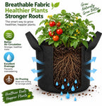 Heavy Duty Nonwoven Fabric Grow Bags with Handles – Pack of 2
