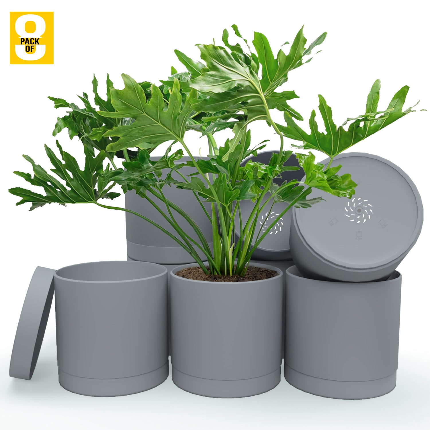 6-Inch Plastic Planter Pots – Cylindrical Stylish, Durable & Plant-Friendly with Drainage & Seamless Saucers