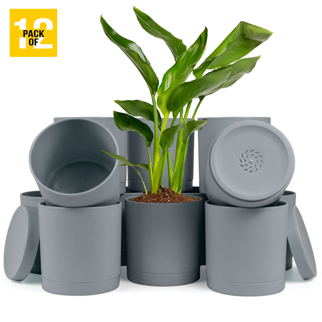 6-Inch Plastic Planter Pots – Cylindrical Stylish, Durable & Plant-Friendly with Drainage & Seamless Saucers