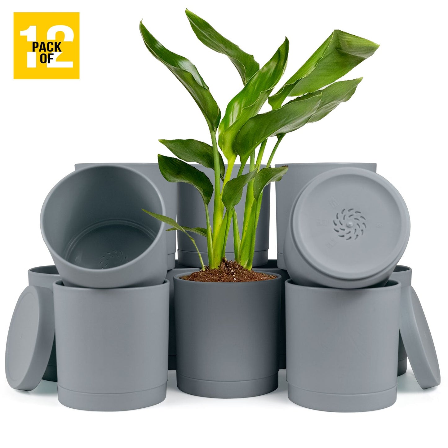 6-Inch Plastic Planter Pots – Cylindrical Stylish, Durable & Plant-Friendly with Drainage & Seamless Saucers