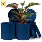 6-Inch Plastic Planter Pots – Cylindrical Stylish, Durable & Plant-Friendly with Drainage & Seamless Saucers