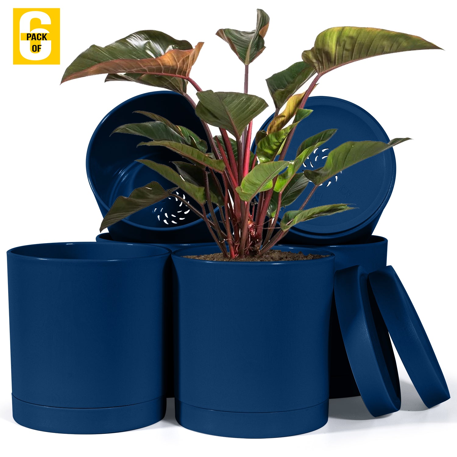 6-Inch Plastic Planter Pots – Cylindrical Stylish, Durable & Plant-Friendly with Drainage & Seamless Saucers
