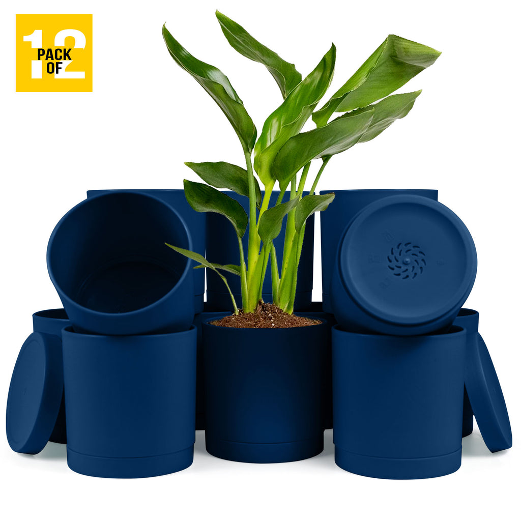 6-Inch Plastic Planter Pots – Cylindrical Stylish, Durable & Plant-Friendly with Drainage & Seamless Saucers