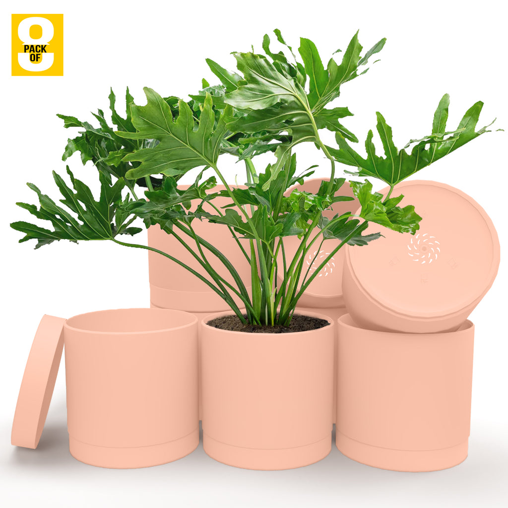 6-Inch Plastic Planter Pots – Cylindrical Stylish, Durable & Plant-Friendly with Drainage & Seamless Saucers