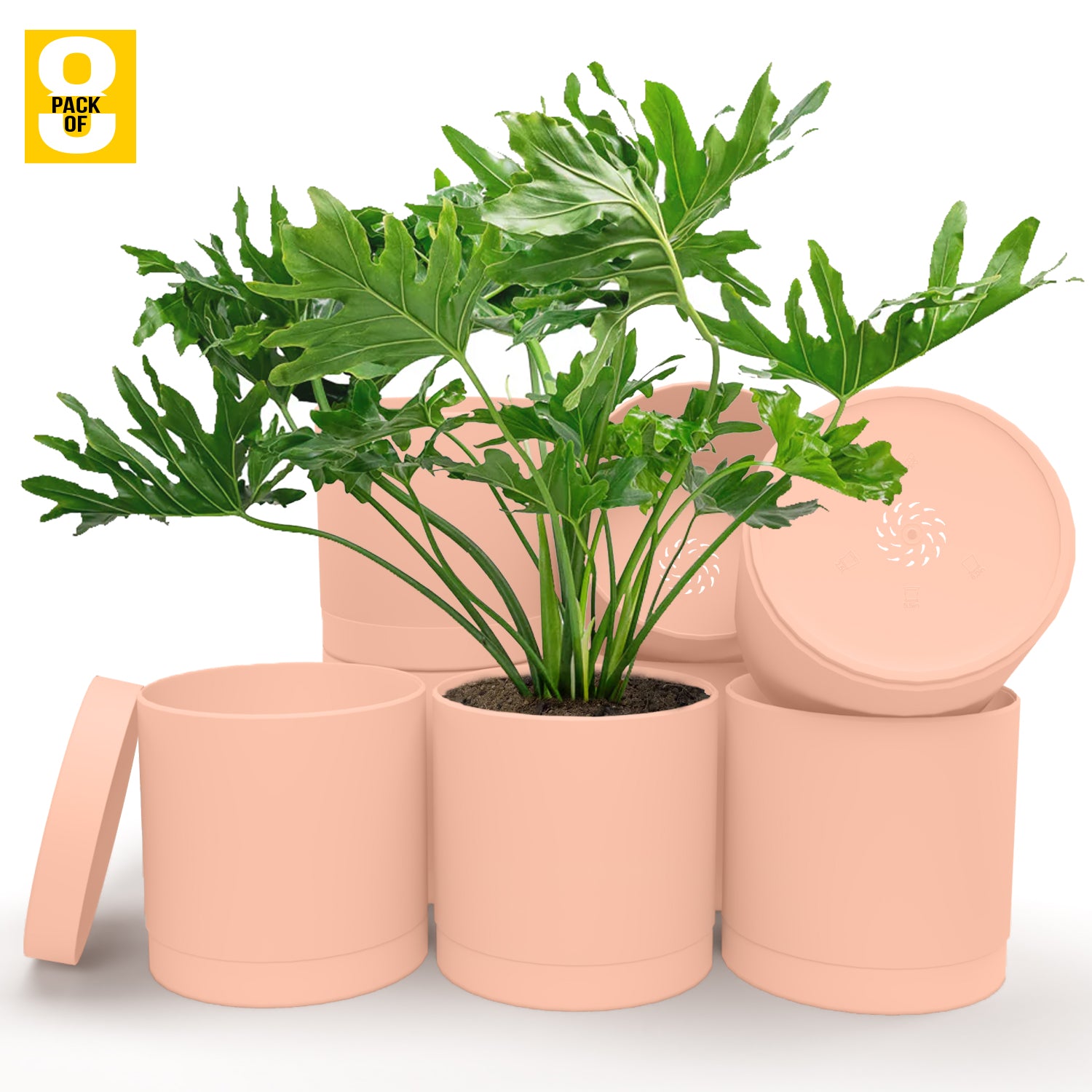 6-Inch Plastic Planter Pots – Cylindrical Stylish, Durable & Plant-Friendly with Drainage & Seamless Saucers