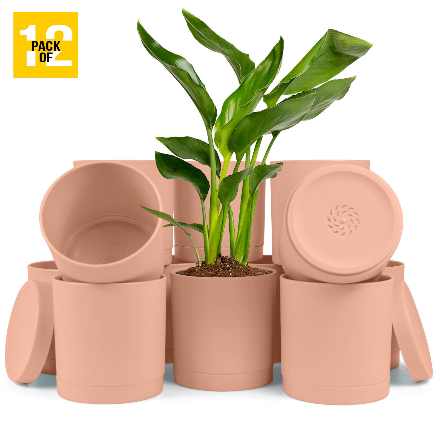 6-Inch Plastic Planter Pots – Cylindrical Stylish, Durable & Plant-Friendly with Drainage & Seamless Saucers