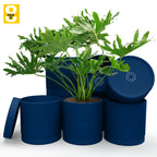 6-Inch Plastic Planter Pots – Cylindrical Stylish, Durable & Plant-Friendly with Drainage & Seamless Saucers