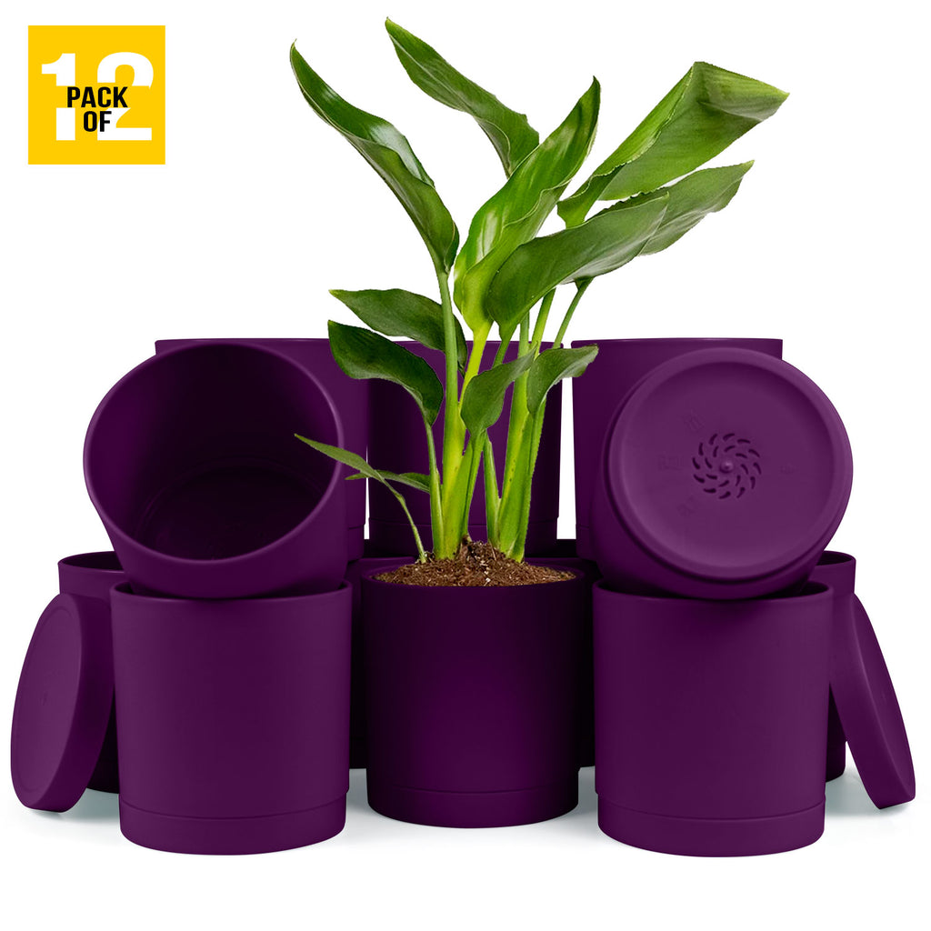6-Inch Plastic Planter Pots – Cylindrical Stylish, Durable & Plant-Friendly with Drainage & Seamless Saucers