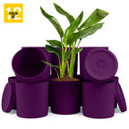 6-Inch Plastic Planter Pots – Cylindrical Stylish, Durable & Plant-Friendly with Drainage & Seamless Saucers