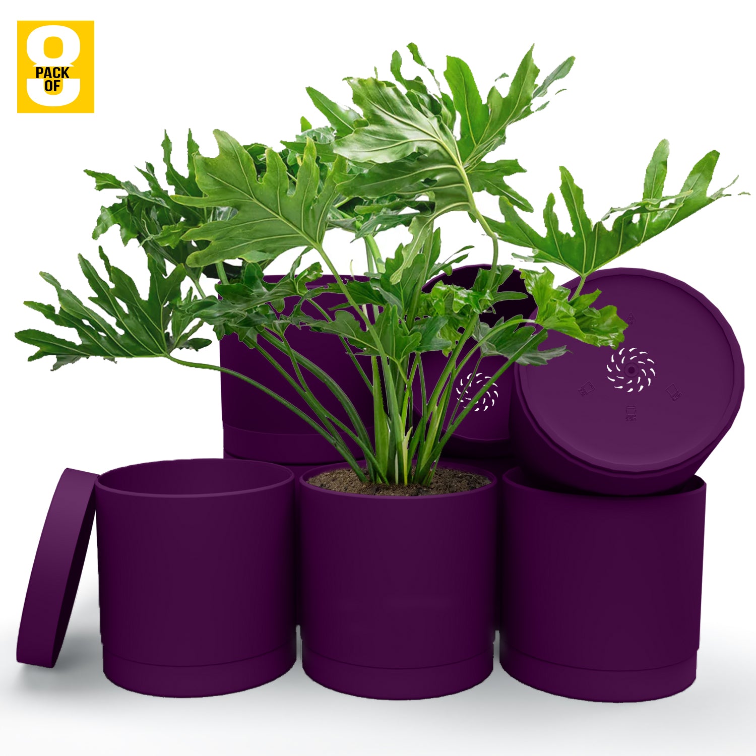 6-Inch Plastic Planter Pots – Cylindrical Stylish, Durable & Plant-Friendly with Drainage & Seamless Saucers