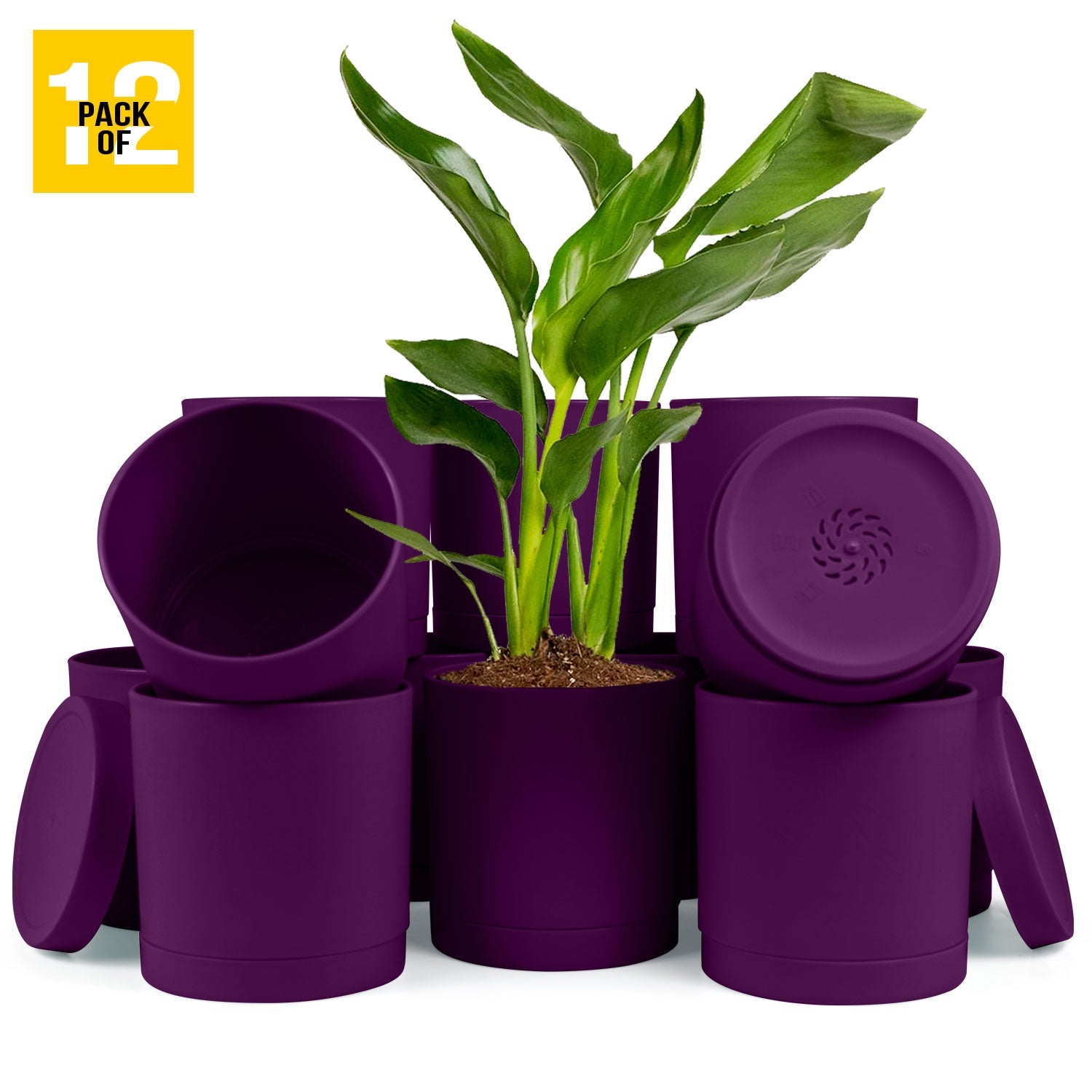 6-Inch Plastic Planter Pots – Cylindrical Stylish, Durable & Plant-Friendly with Drainage & Seamless Saucers