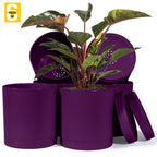 6-Inch Plastic Planter Pots – Cylindrical Stylish, Durable & Plant-Friendly with Drainage & Seamless Saucers