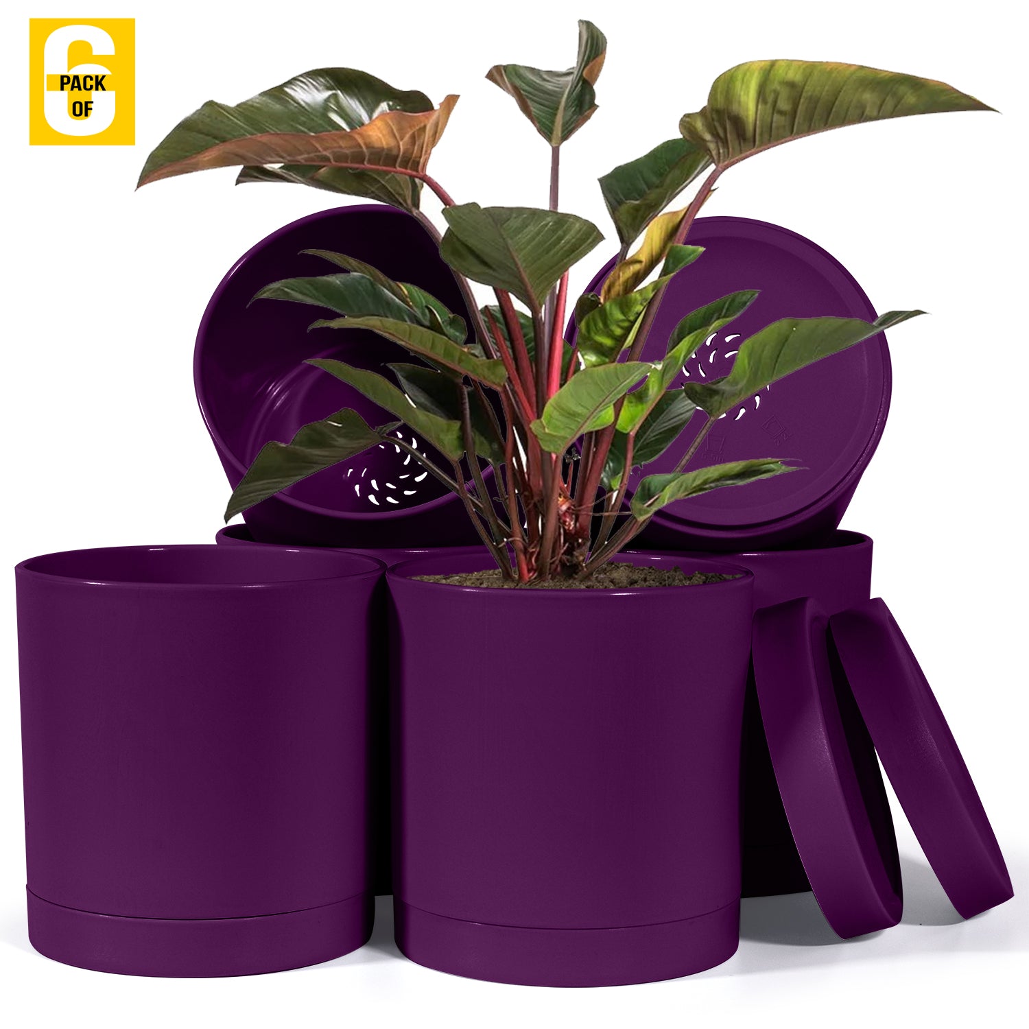 6-Inch Plastic Planter Pots – Cylindrical Stylish, Durable & Plant-Friendly with Drainage & Seamless Saucers