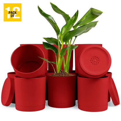 6-Inch Plastic Planter Pots – Cylindrical Stylish, Durable & Plant-Friendly with Drainage & Seamless Saucers