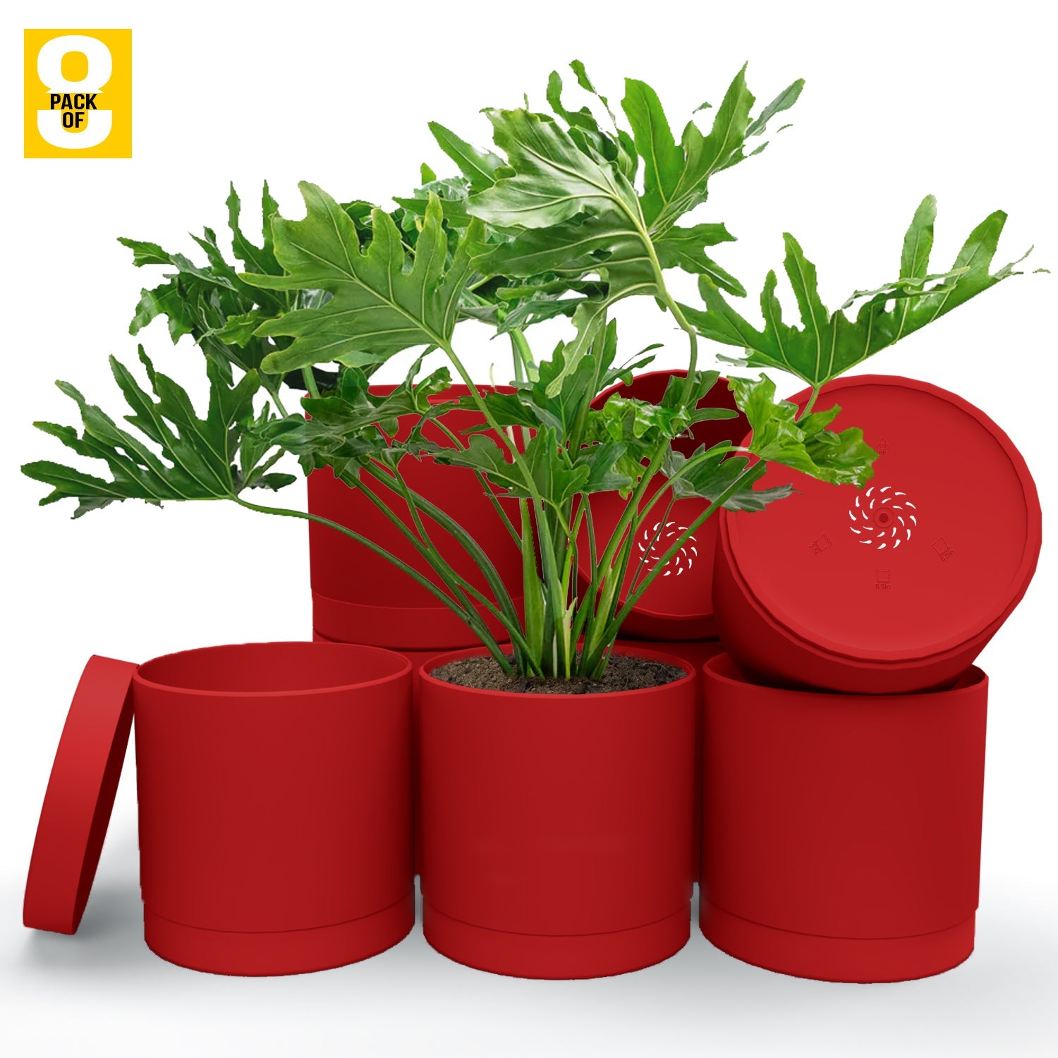 6-Inch Plastic Planter Pots – Cylindrical Stylish, Durable & Plant-Friendly with Drainage & Seamless Saucers