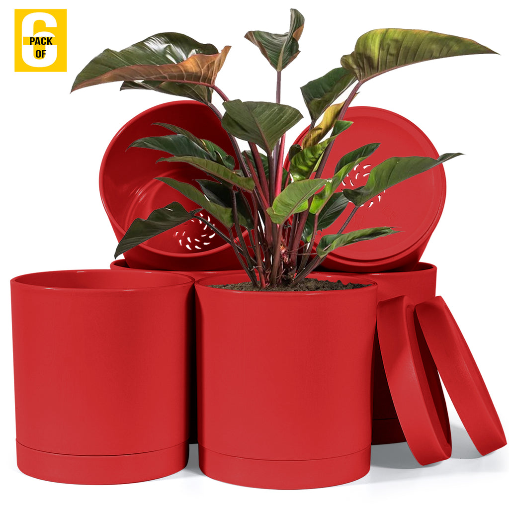 6-Inch Plastic Planter Pots – Cylindrical Stylish, Durable & Plant-Friendly with Drainage & Seamless Saucers