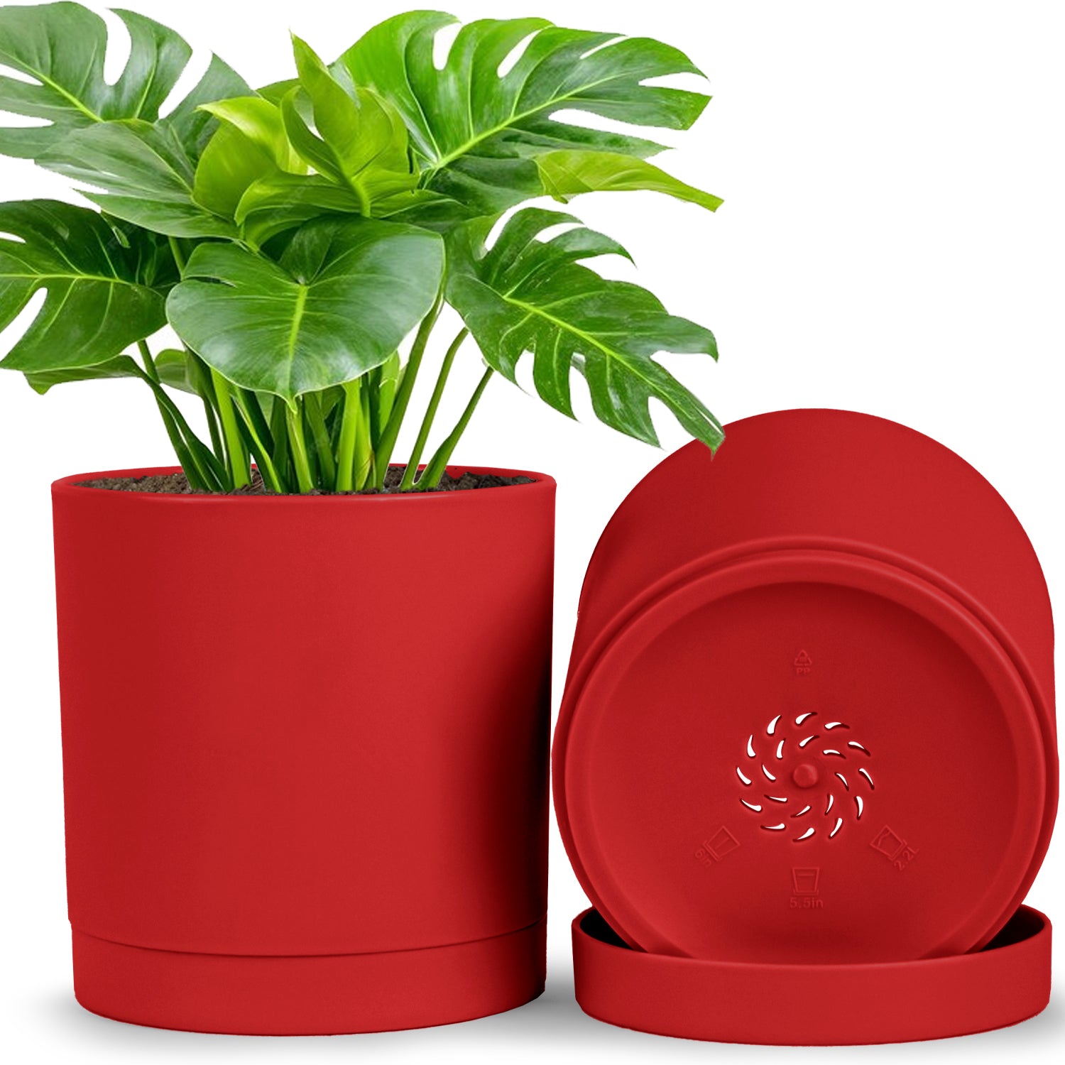 6-Inch Plastic Planter Pots – Cylindrical Stylish, Durable & Plant-Friendly with Drainage & Seamless Saucers