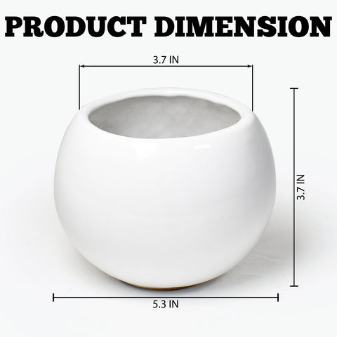 Fast Forward Elegant Round Shaped Ceramic Vase 