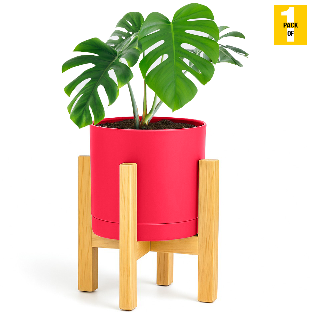 Modern Cylinder Planter Pots with Drainage & Wooden Stand – Durable ABS Plastic with Seamless Saucers – Ideal for Indoor & Outdoor Plant Styling – Pack of 2