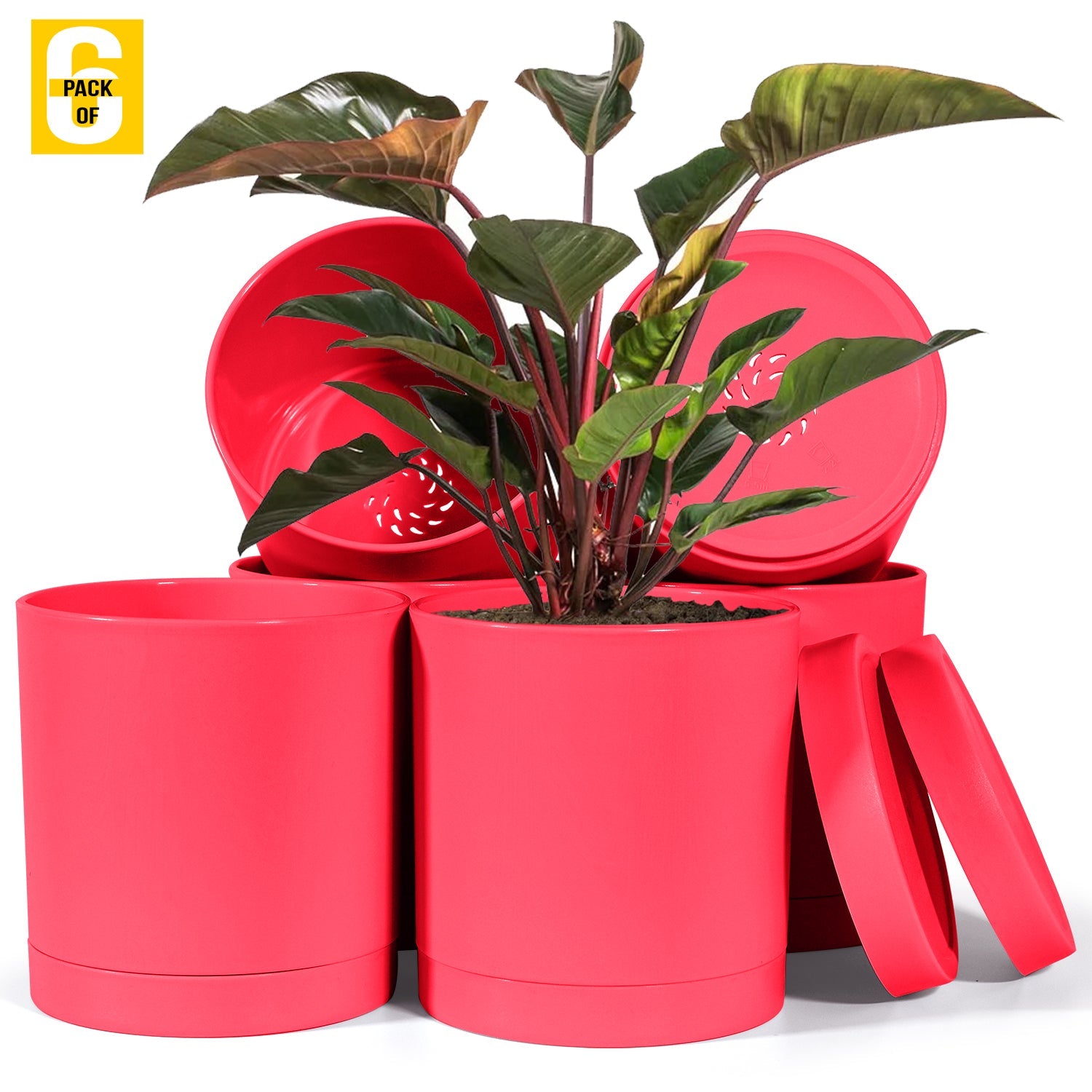 6-Inch Plastic Planter Pots – Cylindrical Stylish, Durable & Plant-Friendly with Drainage & Seamless Saucers
