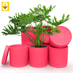 6-Inch Plastic Planter Pots – Cylindrical Stylish, Durable & Plant-Friendly with Drainage & Seamless Saucers