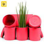 6-Inch Plastic Planter Pots – Cylindrical Stylish, Durable & Plant-Friendly with Drainage & Seamless Saucers