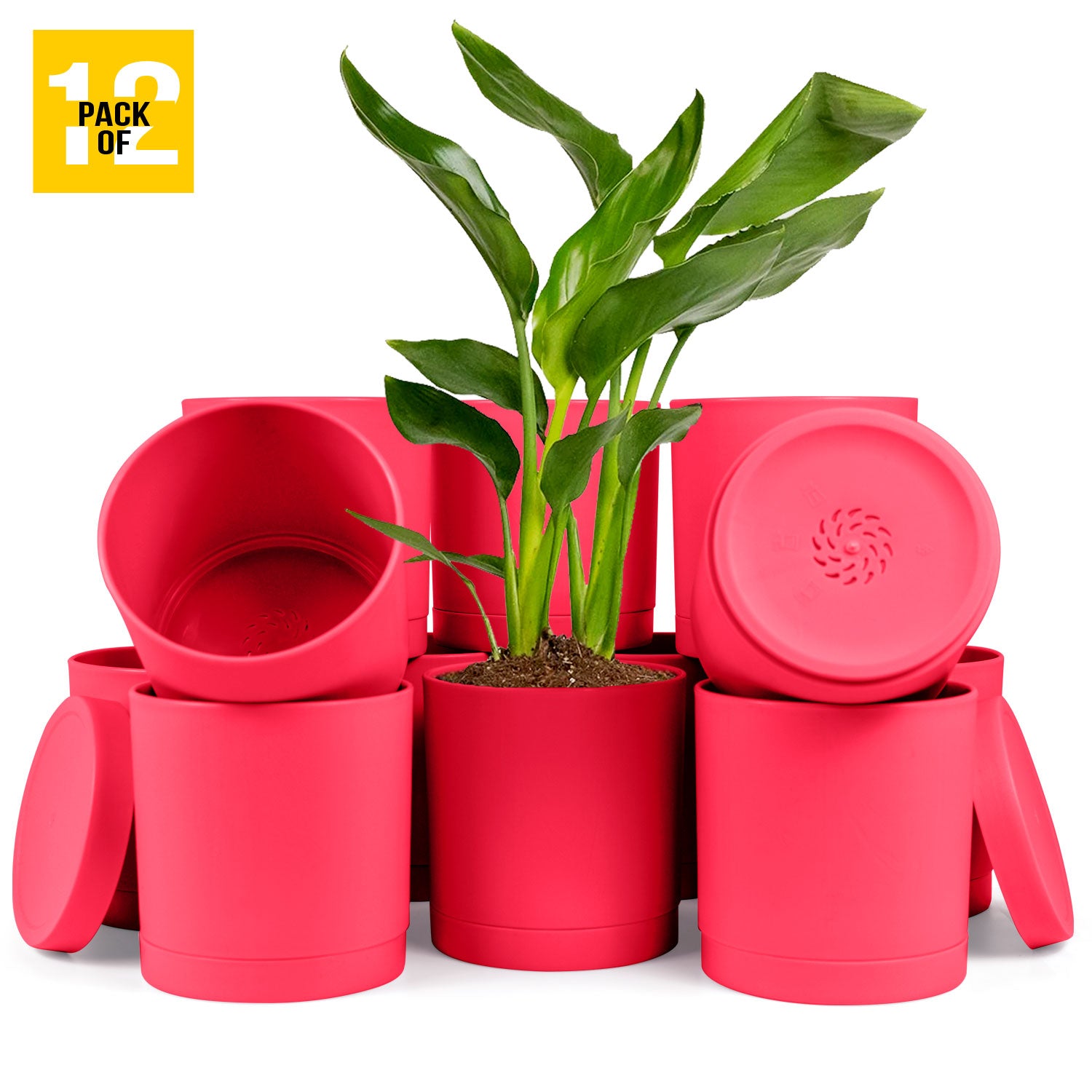 6-Inch Plastic Planter Pots – Cylindrical Stylish, Durable & Plant-Friendly with Drainage & Seamless Saucers