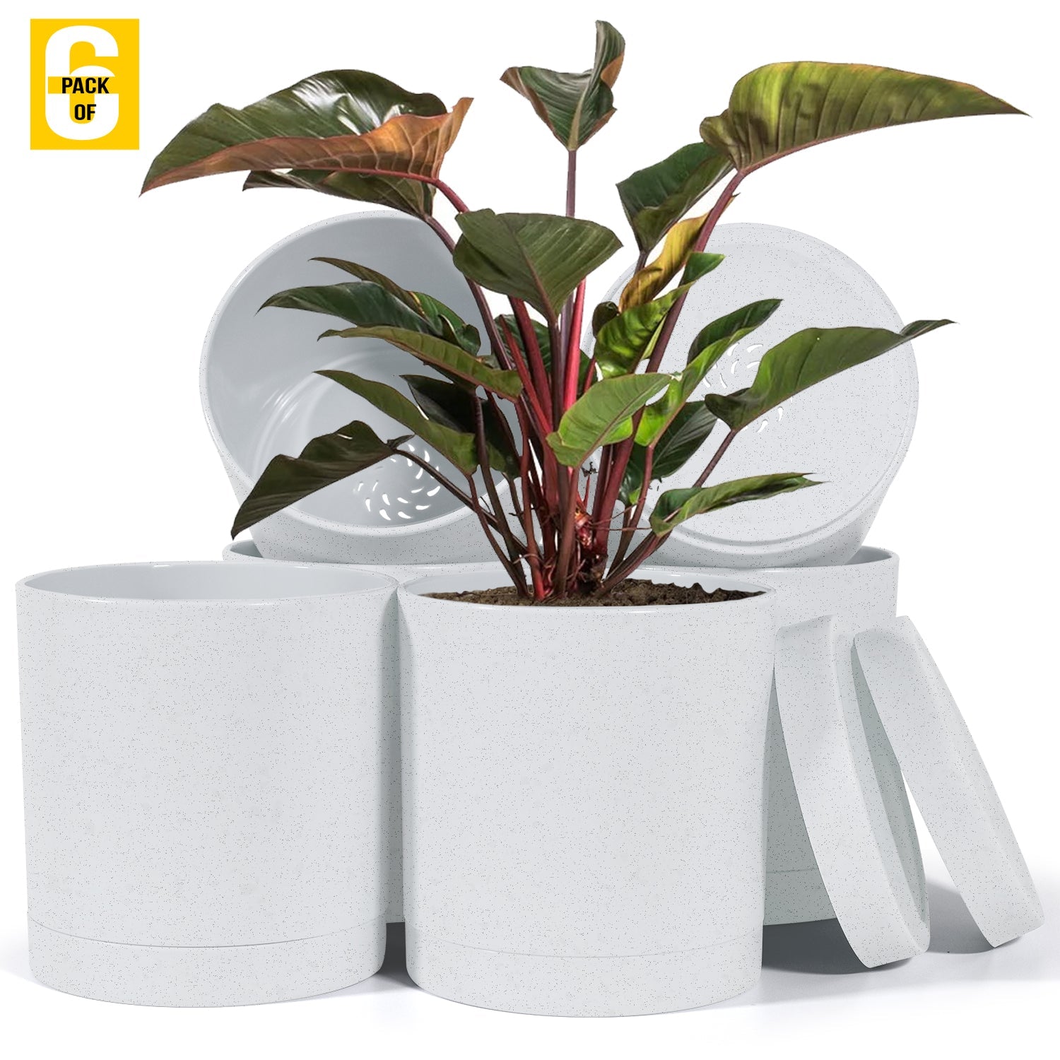 6-Inch Plastic Planter Pots – Cylindrical Stylish, Durable & Plant-Friendly with Drainage & Seamless Saucers