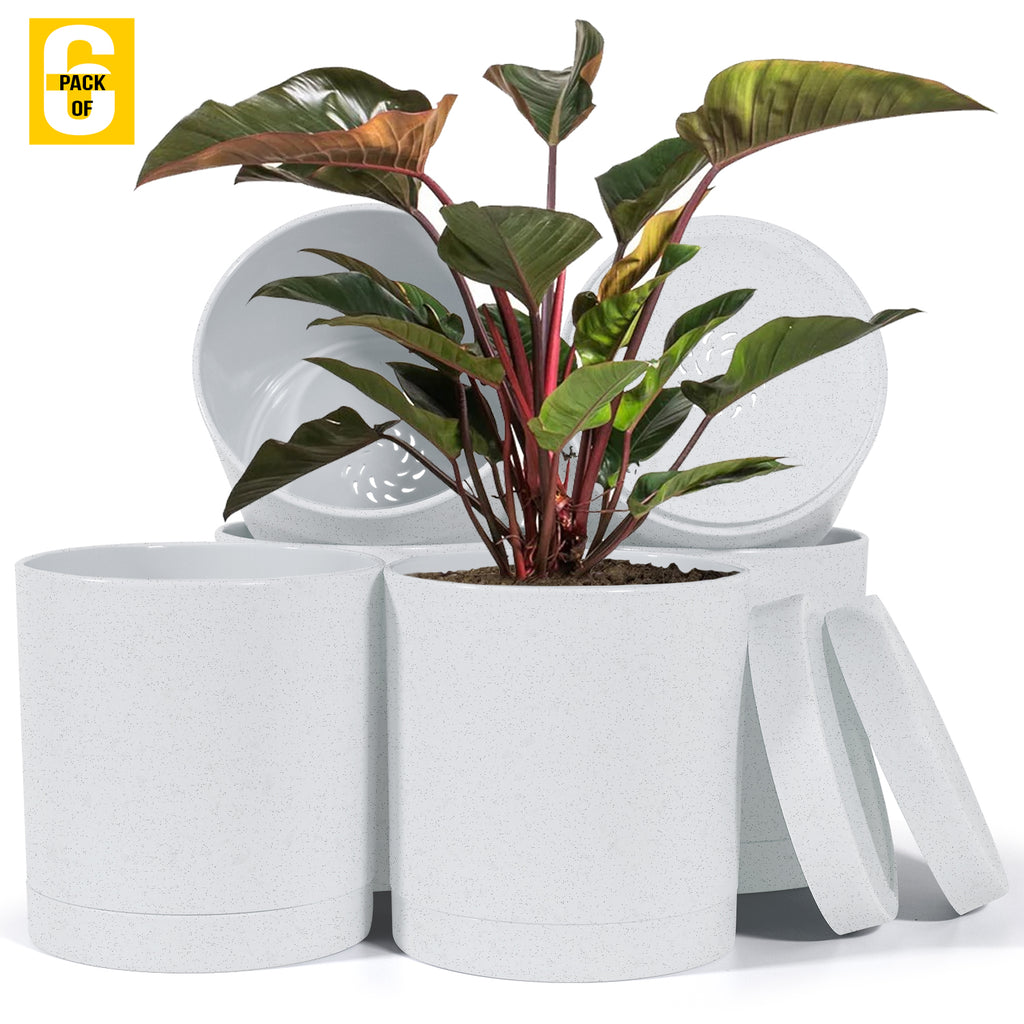 6-Inch Plastic Planter Pots – Cylindrical Stylish, Durable & Plant-Friendly with Drainage & Seamless Saucers