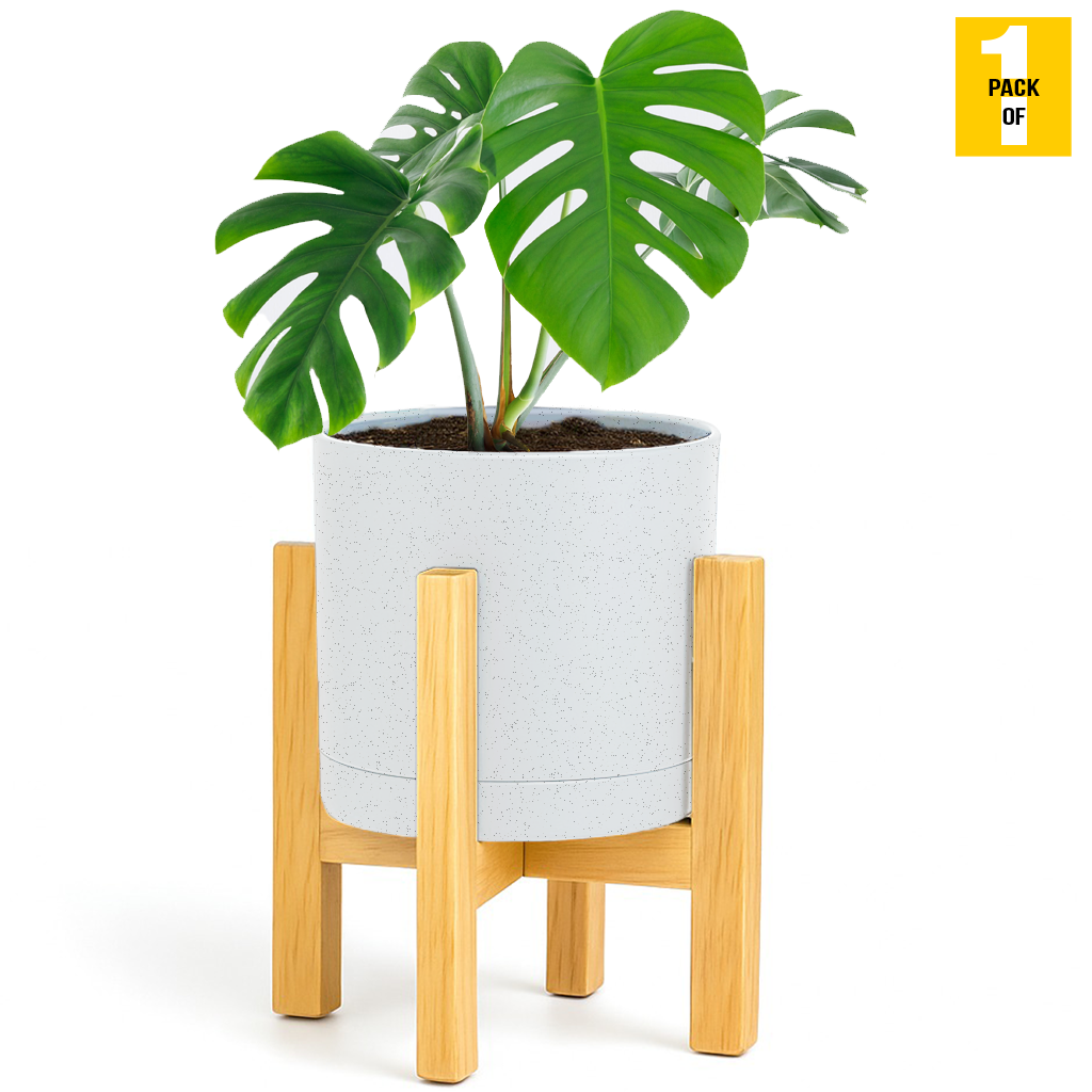 Modern Cylinder Planter Pots with Drainage & Wooden Stand – Durable ABS Plastic with Seamless Saucers – Ideal for Indoor & Outdoor Plant Styling – Pack of 2