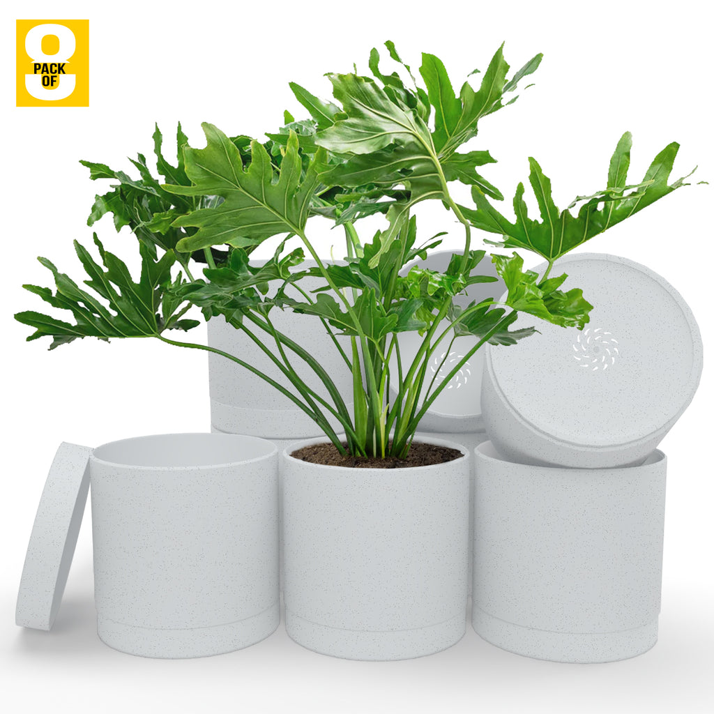 6-Inch Plastic Planter Pots – Cylindrical Stylish, Durable & Plant-Friendly with Drainage & Seamless Saucers