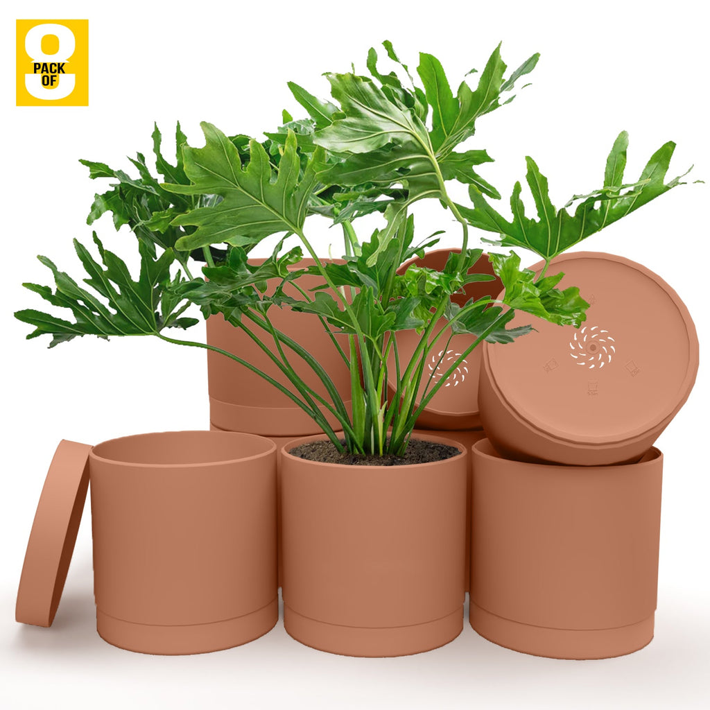 6-Inch Plastic Planter Pots – Cylindrical Stylish, Durable & Plant-Friendly with Drainage & Seamless Saucers